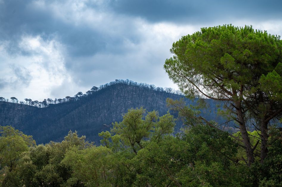 Puno: ocho provincias bajo alerta extrema por riesgo de incendios forestales