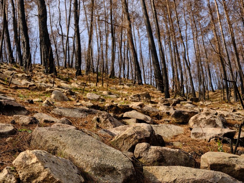 Alerta roja por incendios forestales: nueve regiones del sur bajo vigilancia hasta el viernes