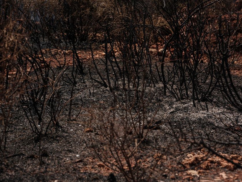 Incendio forestal cerca de Kuélap pone en alerta a autoridades peruanas por riesgo al patrimonio arqueológico
